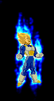 flamingvegeta.gif