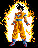 gokussj3_01.gif