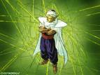 piccolo.jpg